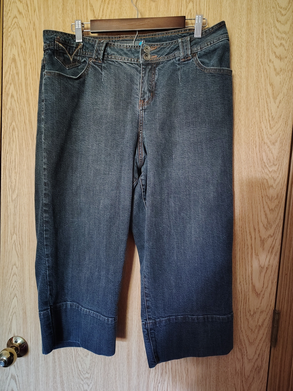 Venezia Size 2 Blue Circle Jean Capri